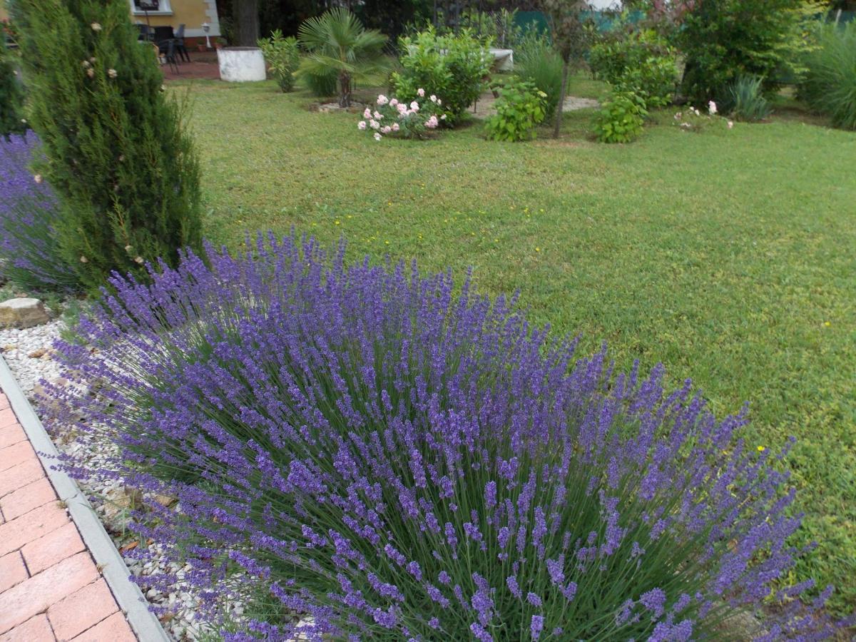 Eden Villa Apartmanhaz Balatonfüred Dış mekan fotoğraf