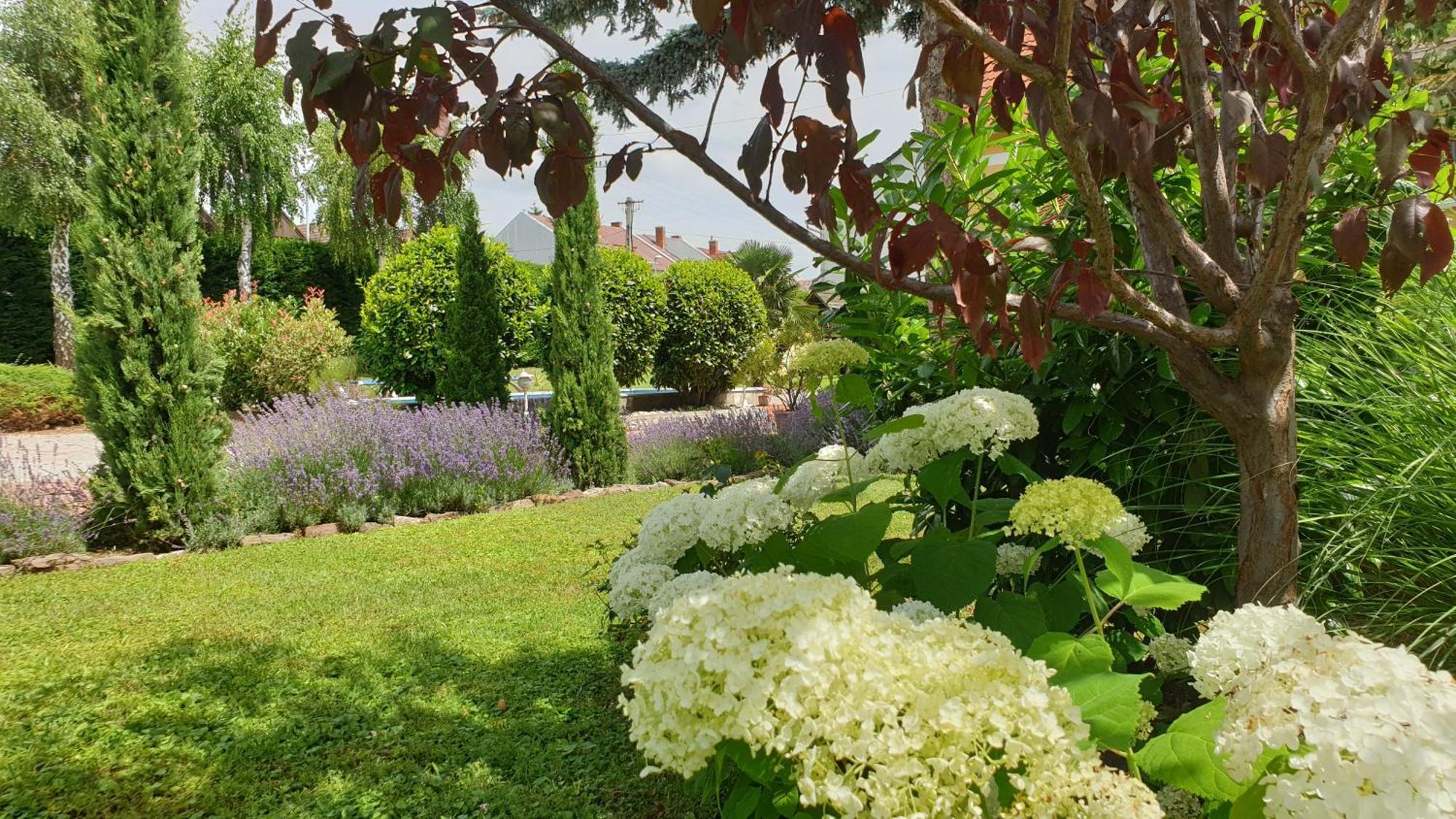 Eden Villa Apartmanhaz Balatonfüred Dış mekan fotoğraf
