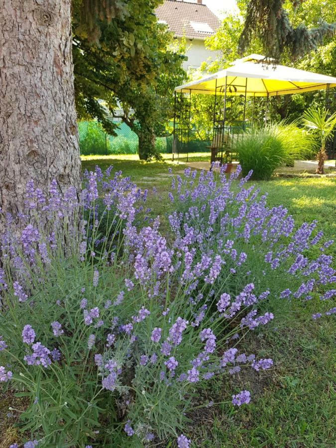 Eden Villa Apartmanhaz Balatonfüred Dış mekan fotoğraf